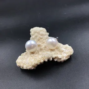 Tops/Studs Fashion Earring 4984-21