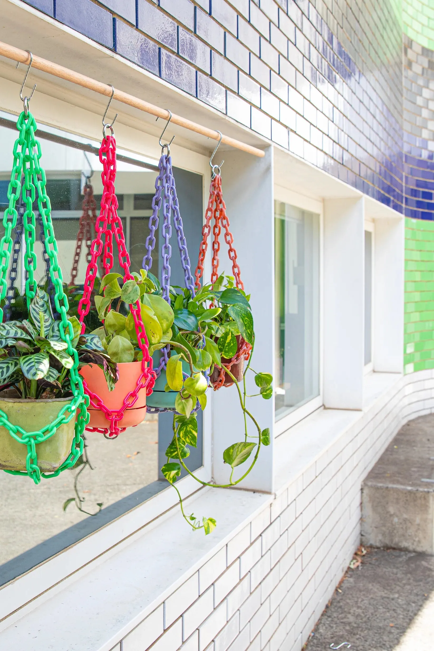 WOLJAM - UNIVERSAL PLANT HANGER - GREEN