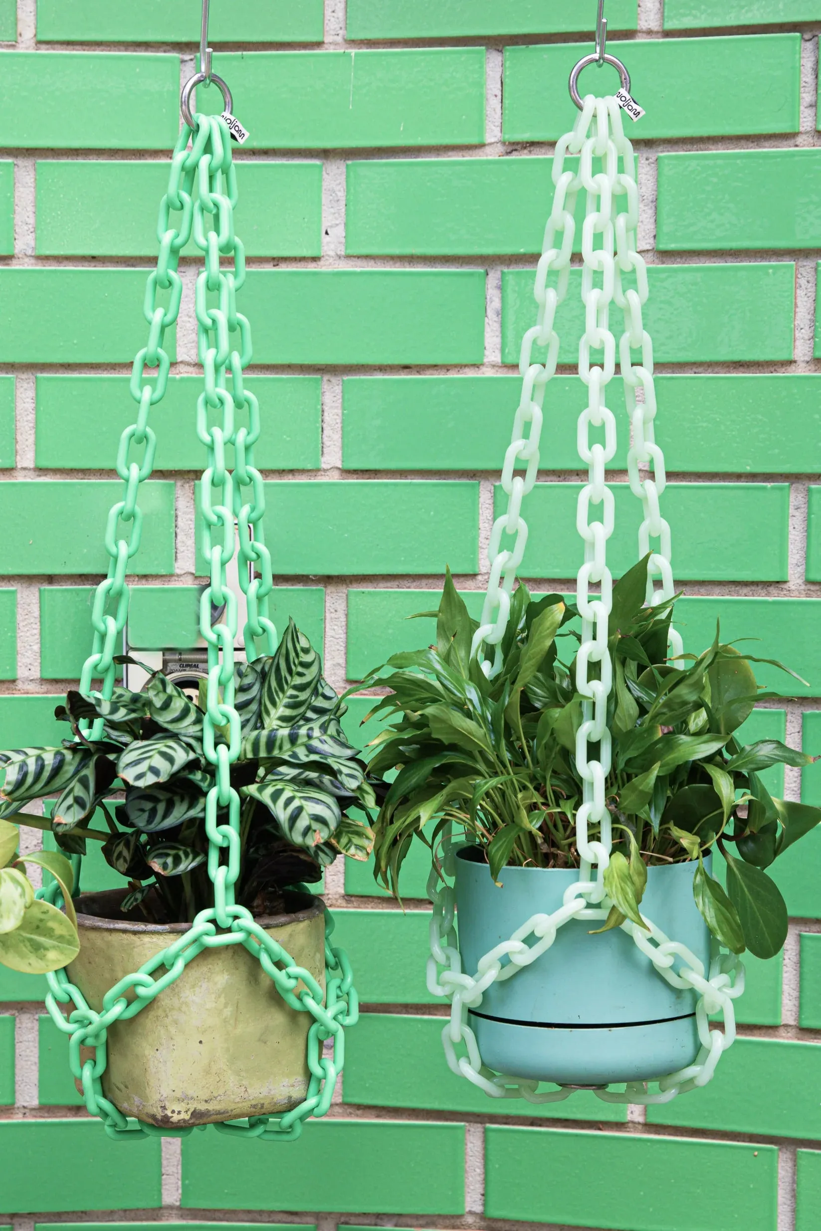 WOLJAM - UNIVERSAL PLANT HANGER - GREEN